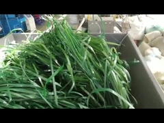 Mesin penghancur bahan lunak satu poros